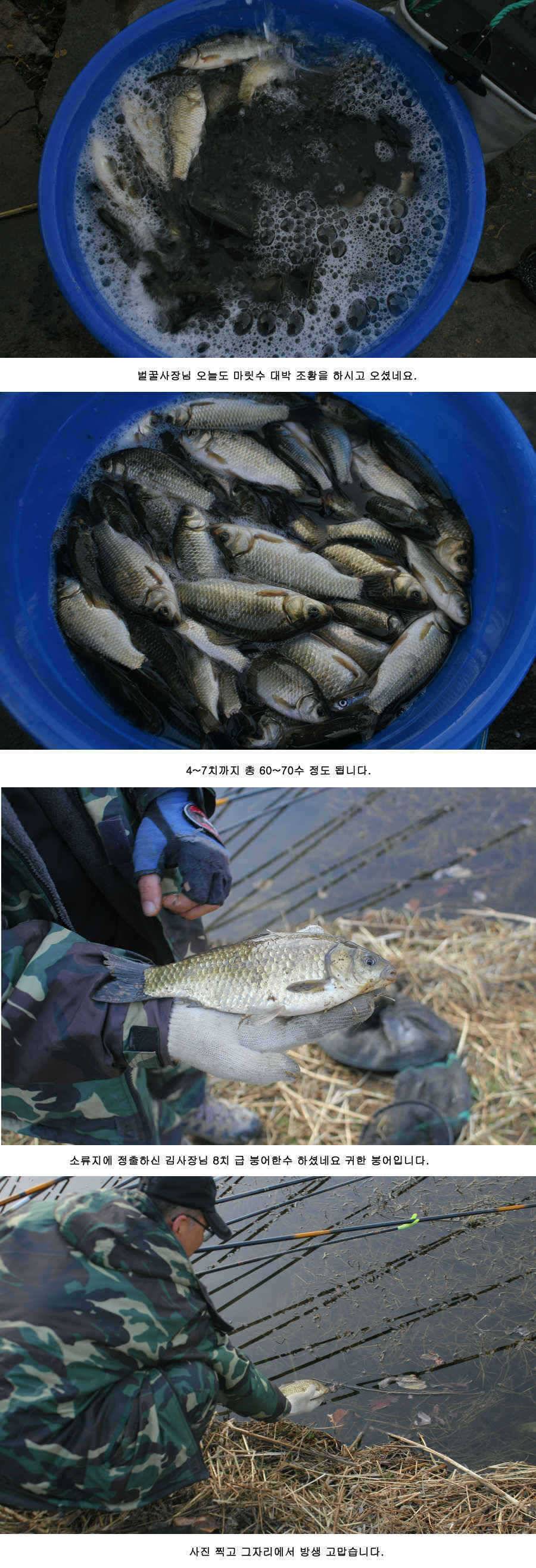 청도권 주말 주중 조황정보 (조황조행기 - 특파원조황)