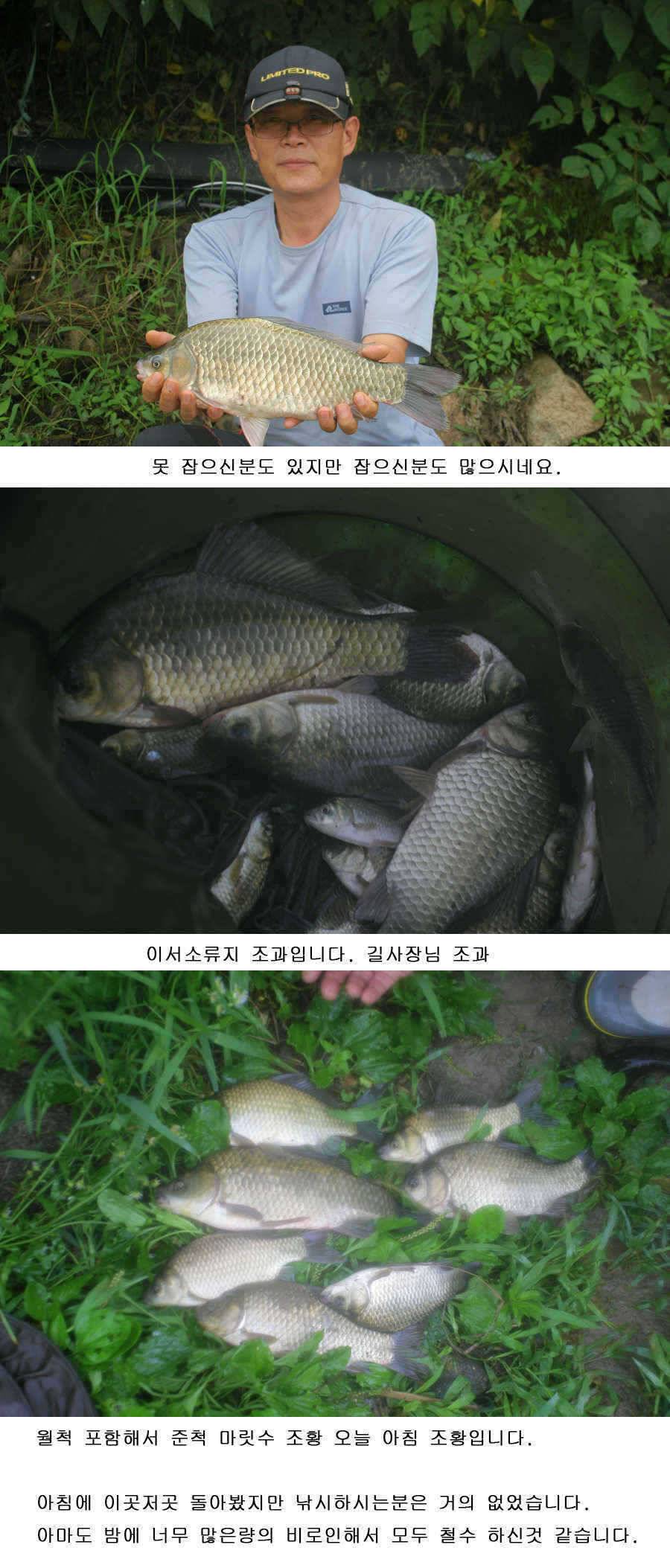 청도권 주중 조황 사짜 (조황조행기 - 특파원조황)