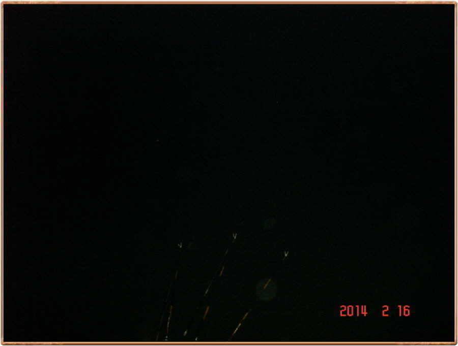 진위천 조황 소식 (조황조행기 - 특파원조황)
