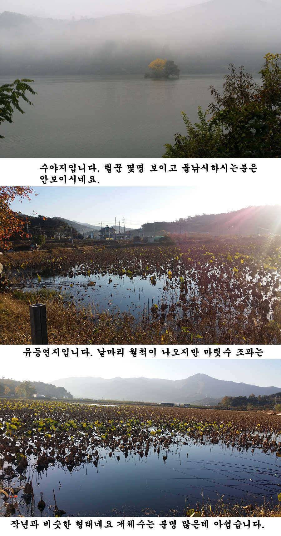 청도권 기록 갱신의 시기 (조황조행기 - 특파원조황)