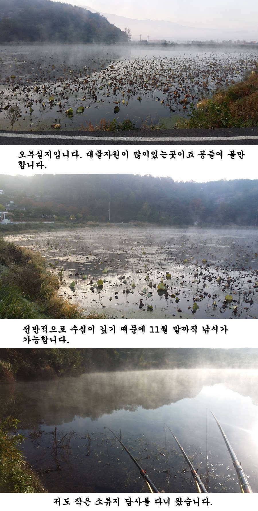 청도권 기록 갱신의 시기 (조황조행기 - 특파원조황)