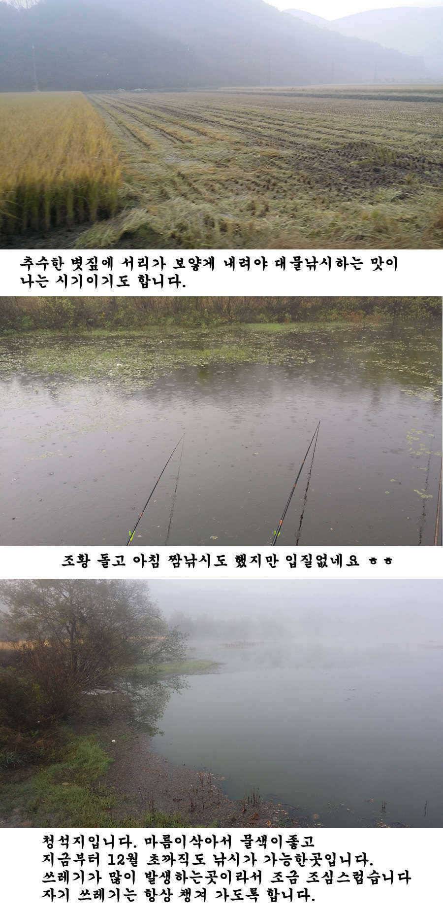 청도권 기록 갱신의 시기 (조황조행기 - 특파원조황)