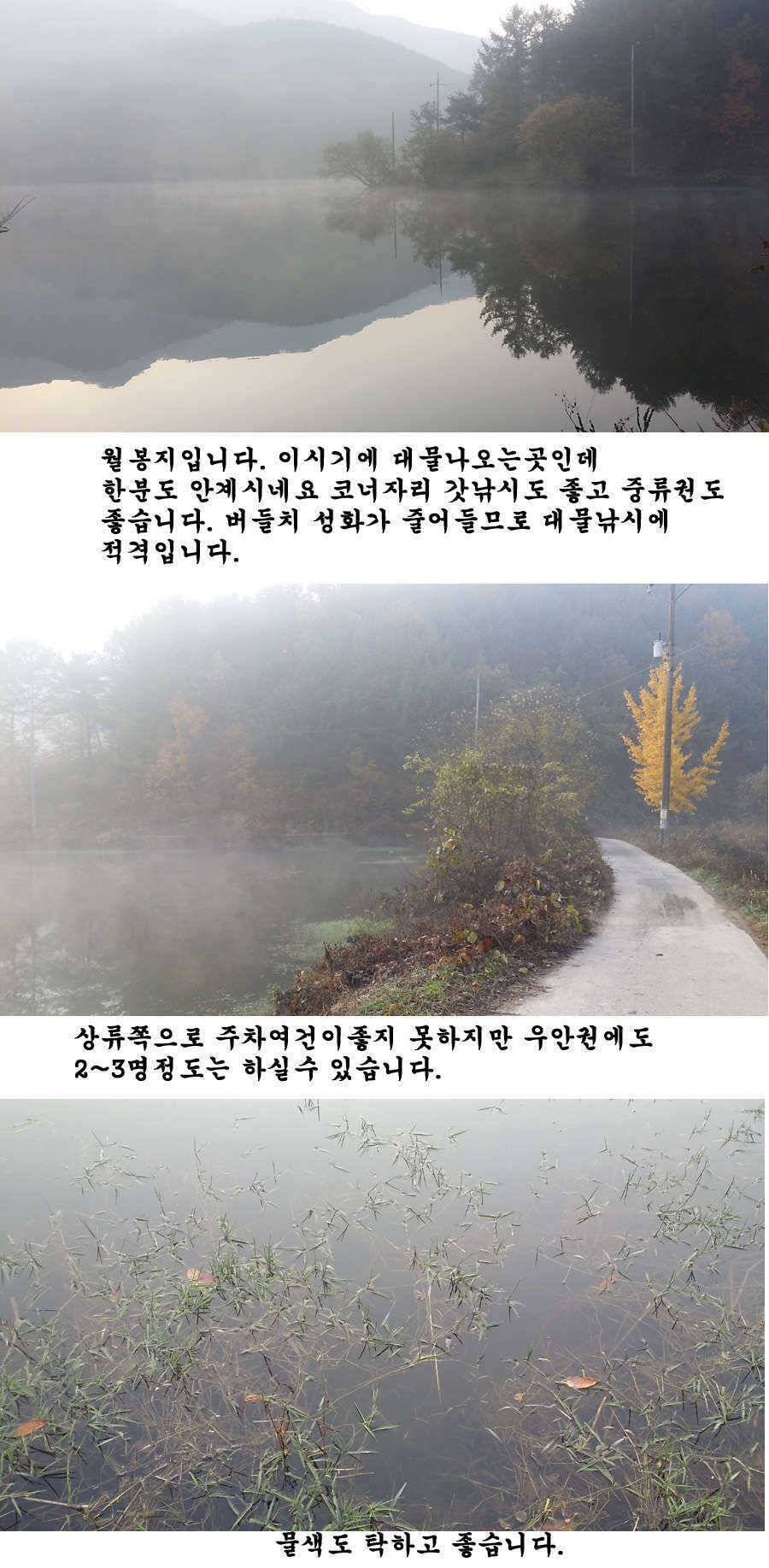 청도권 기록 갱신의 시기 (조황조행기 - 특파원조황)