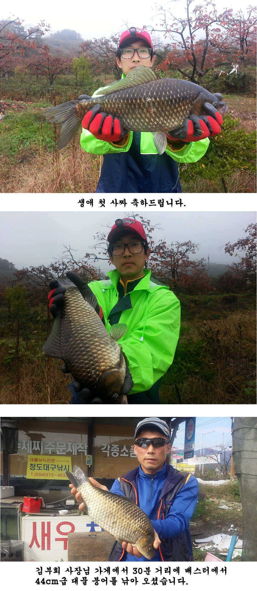 청도권 기록 갱신의 시기 (조황조행기 - 특파원조황)