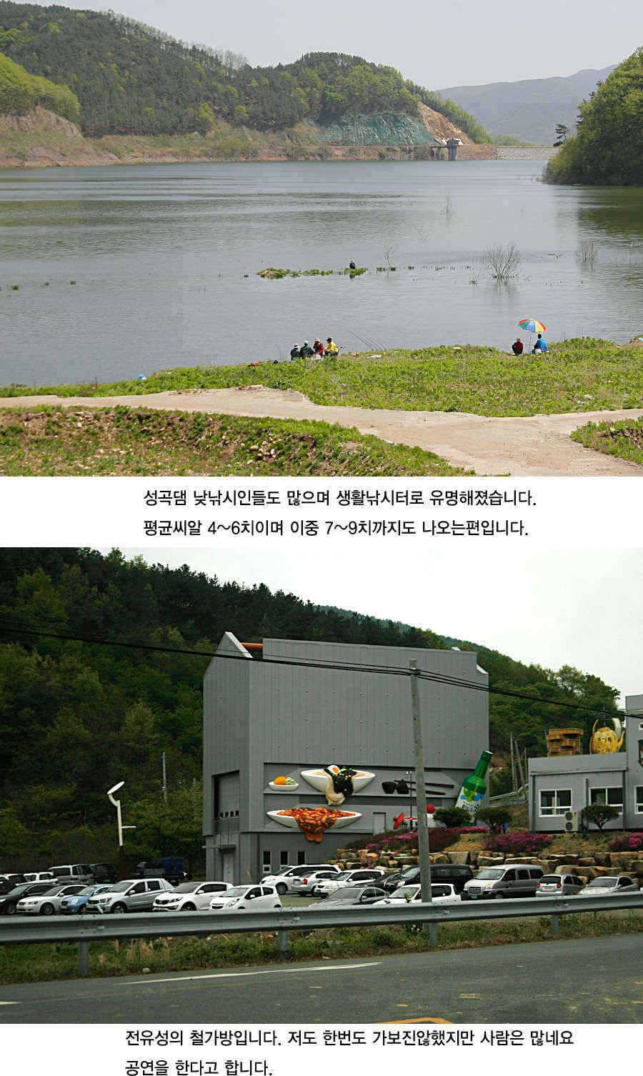 청도권 43 39 39 38 38대물들이 출현 (조황조행기 - 특파원조황)