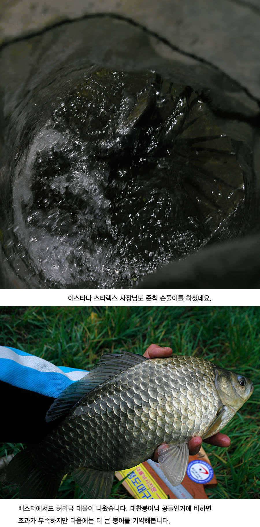 청도권 43 39 39 38 38대물들이 출현 (조황조행기 - 특파원조황)