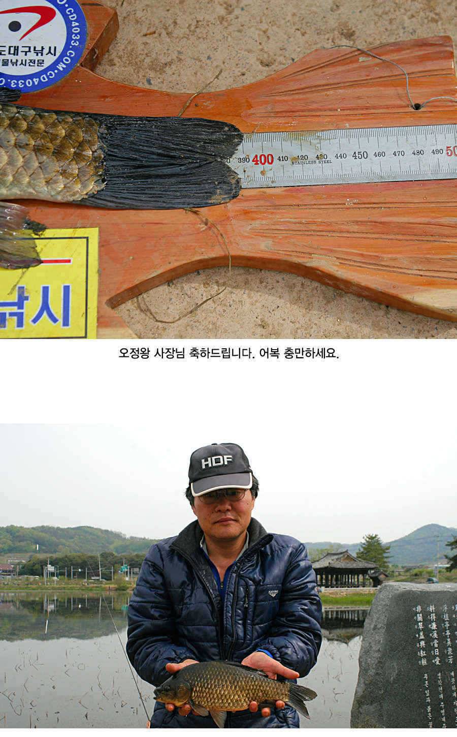 청도권 43 39 39 38 38대물들이 출현 (조황조행기 - 특파원조황)