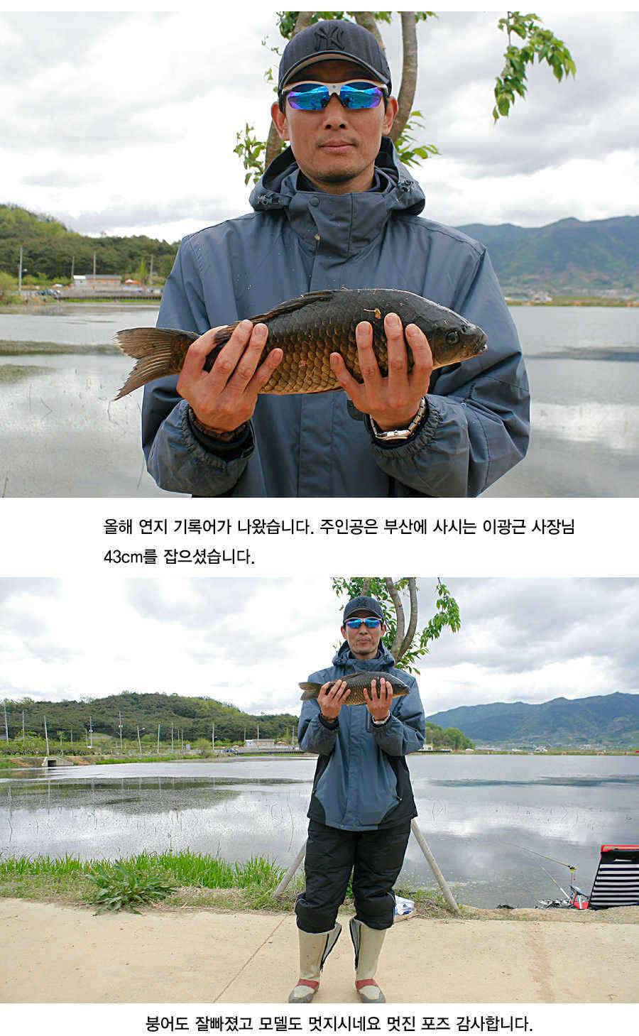 청도권 43 39 39 38 38대물들이 출현 (조황조행기 - 특파원조황)