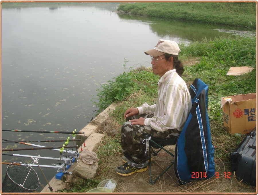 진위천 조황 소식 (조황조행기 - 특파원조황)