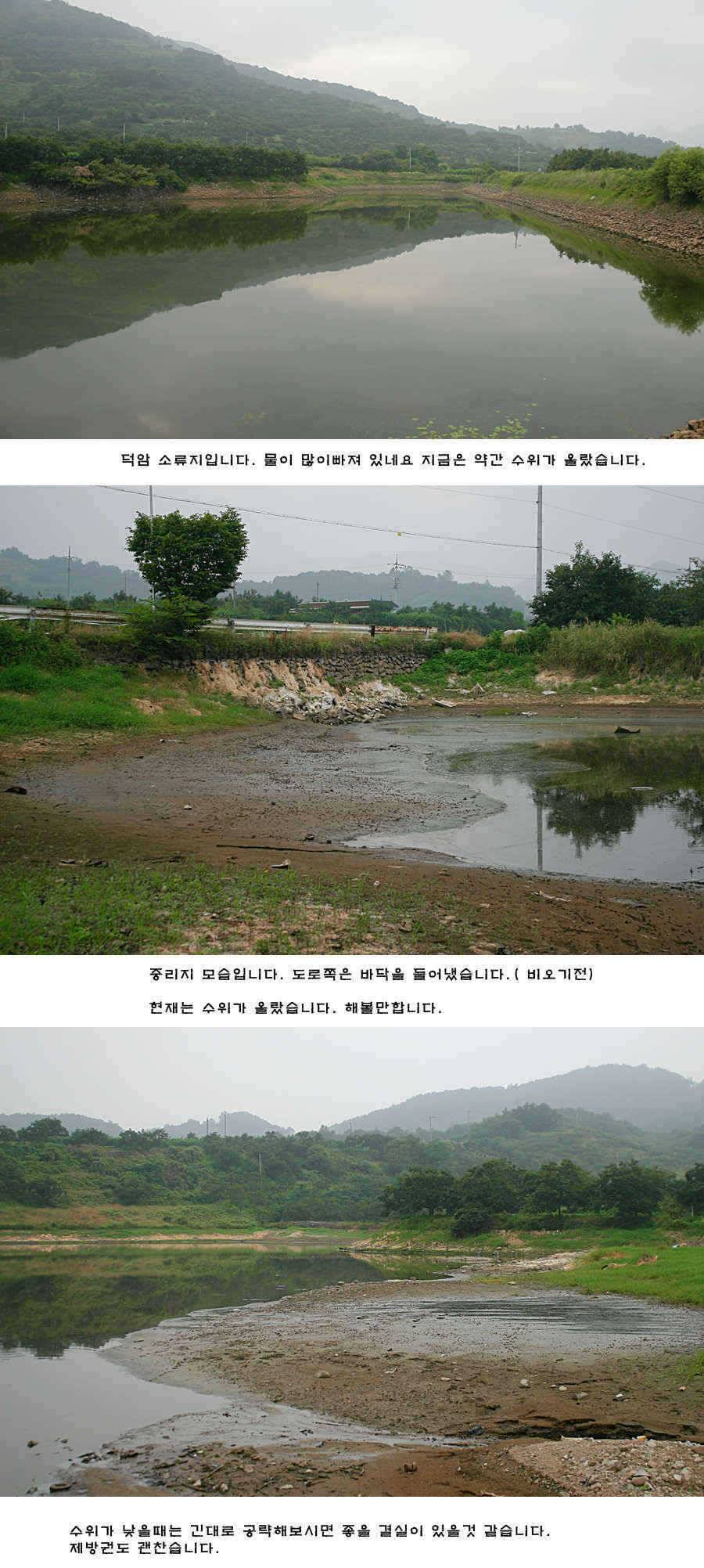 청도권 비소식과 오름수위 (조황조행기 - 특파원조황)