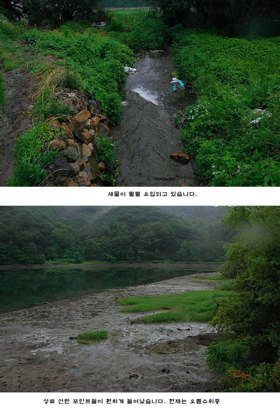 청도권 비소식과 오름수위 (조황조행기 - 특파원조황)