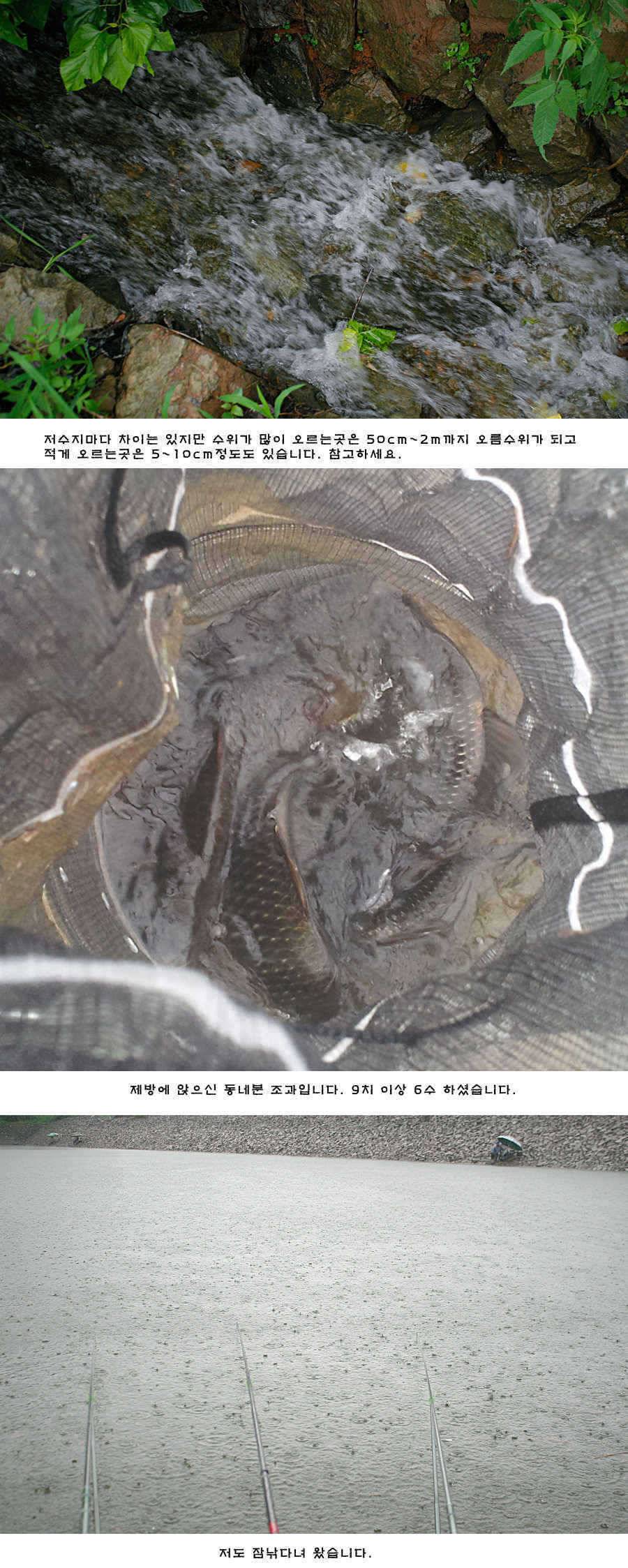 청도권 비소식과 오름수위 (조황조행기 - 특파원조황)