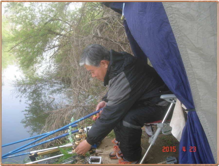 진위천 조황 소식 (조황조행기 - 특파원조황)