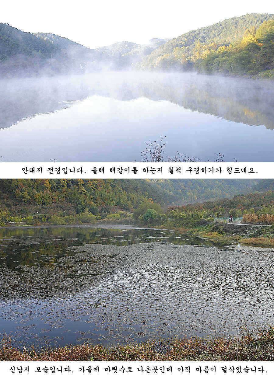청도권 조황정보 (조황조행기 - 특파원조황)