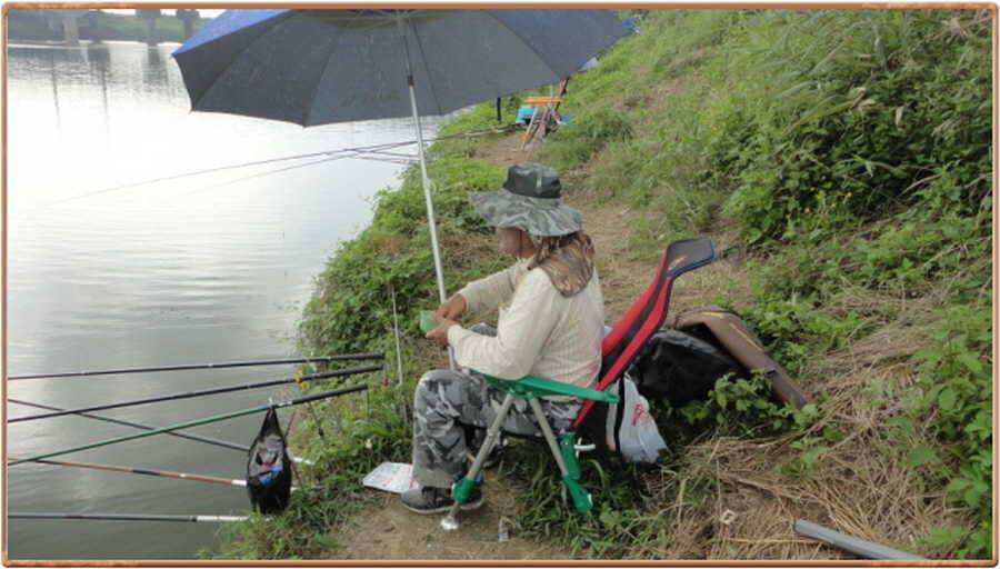 진위천 조황 소식 (조황조행기 - 특파원조황)