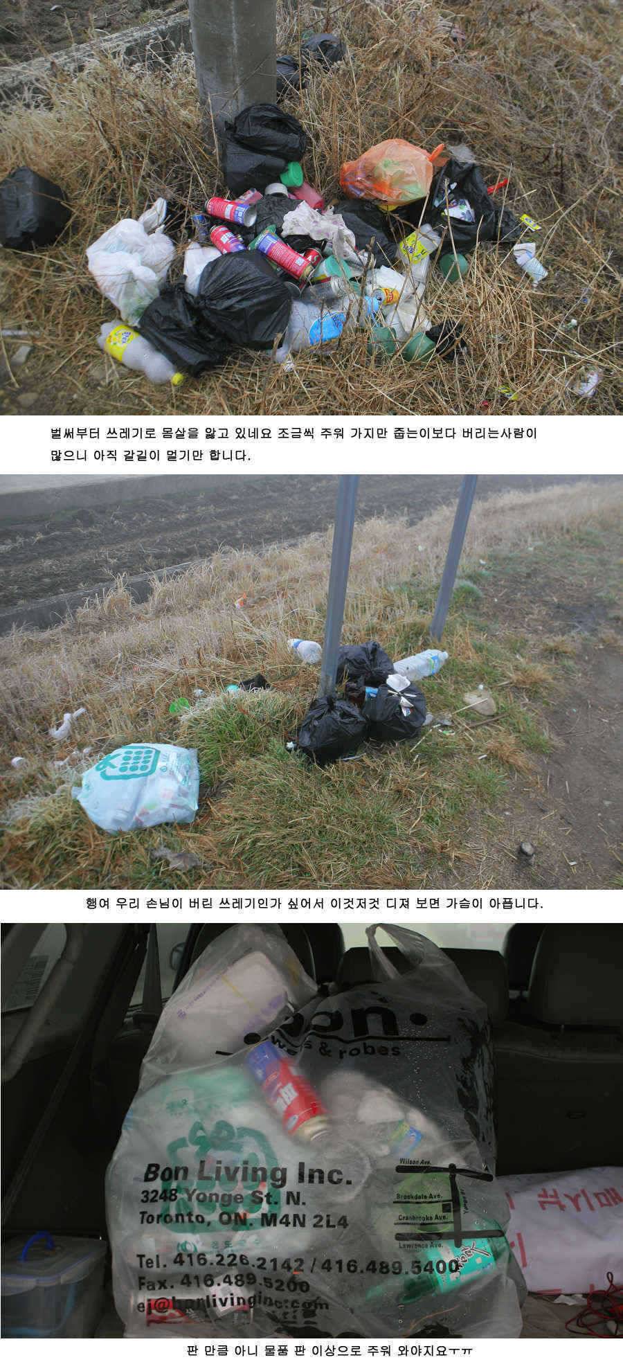 청도권 조황 정보 (조황조행기 - 특파원조황)