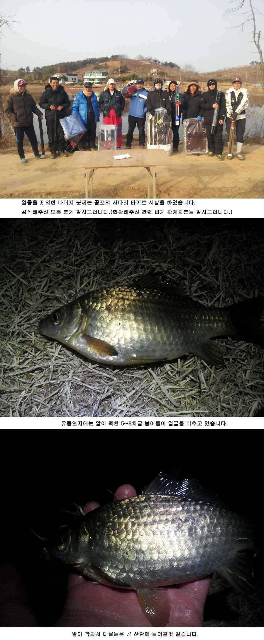 청도권 조황 정보 (조황조행기 - 특파원조황)