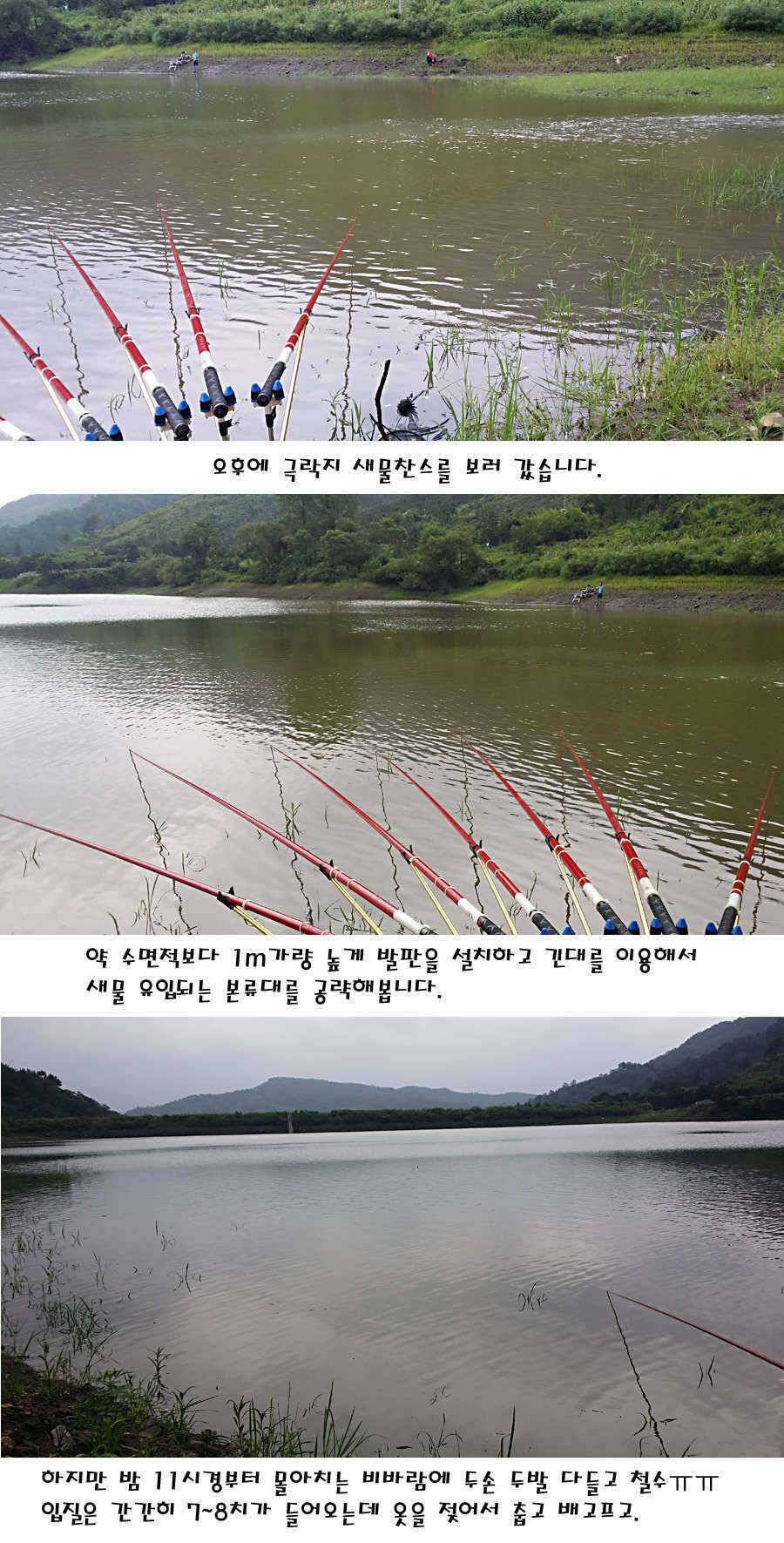 청도권 가을전 최고의 호기 (조황조행기 - 특파원조황)
