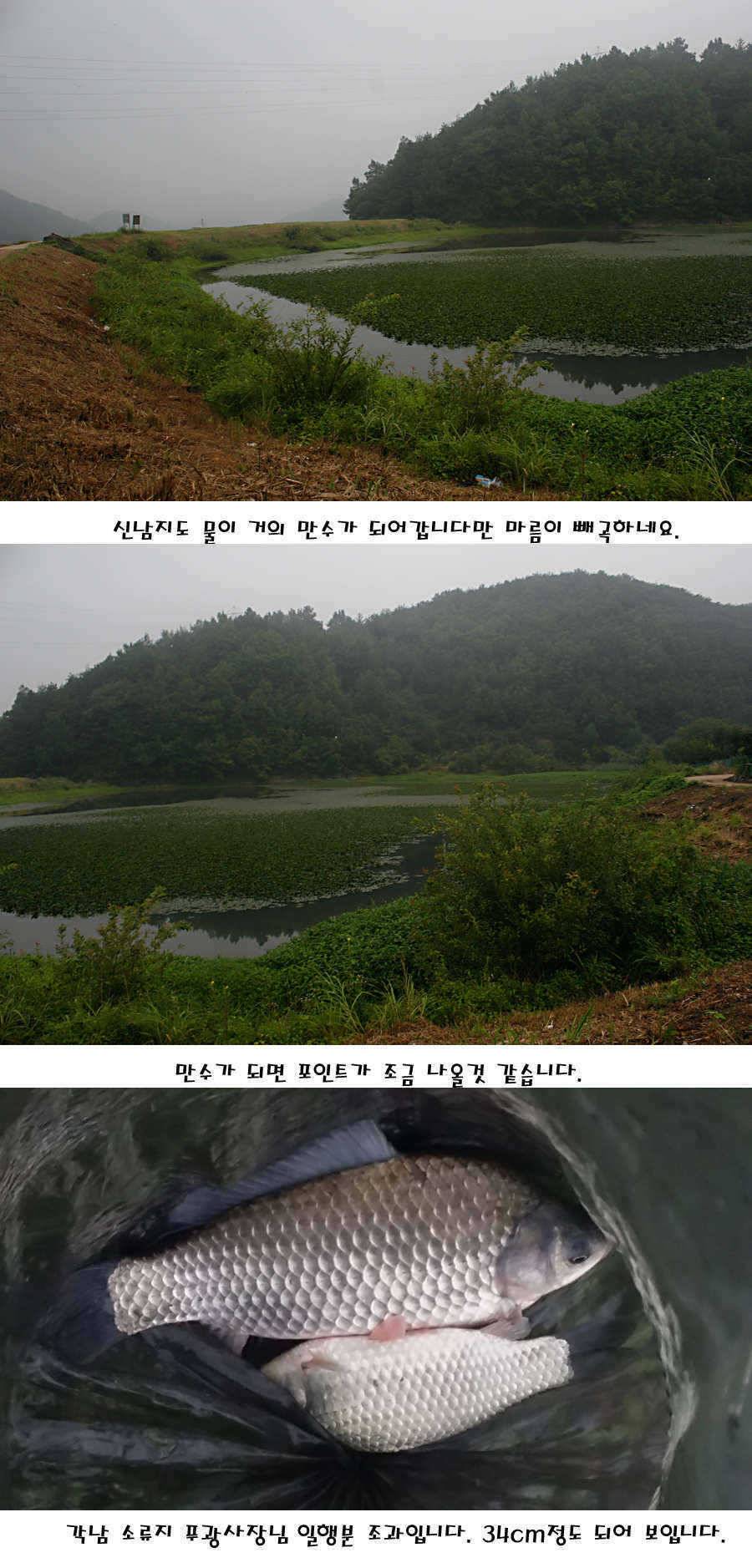 청도권 가을전 최고의 호기 (조황조행기 - 특파원조황)