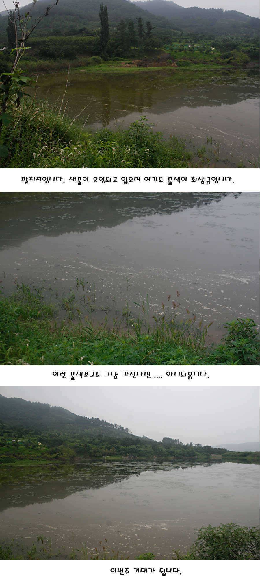 청도권 가을전 최고의 호기 (조황조행기 - 특파원조황)