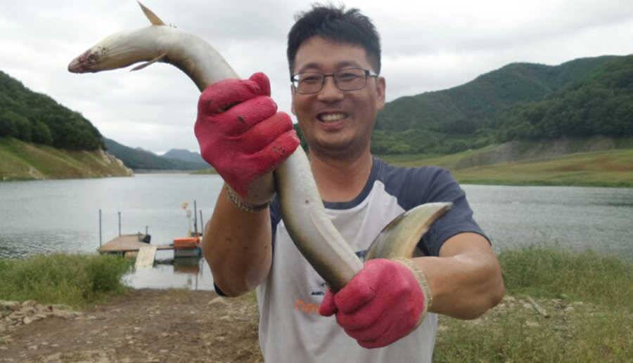 목벌리 키로오버급에 장어가 풍년 (조황조행기 - 특파원조황)