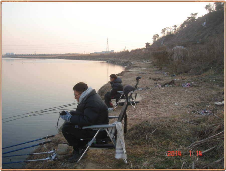 진위천 조황 소식 (조황조행기 - 특파원조황)