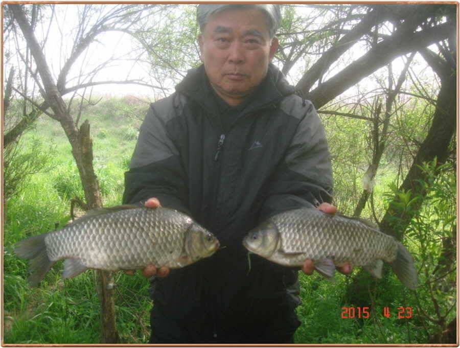 진위천 조황 소식 (조황조행기 - 특파원조황)