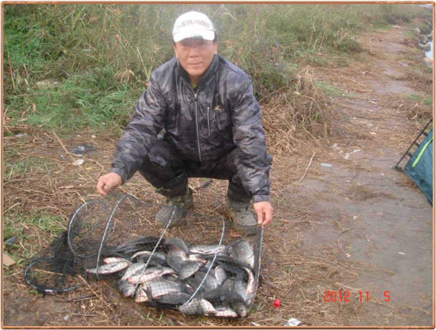 진위천 조황 풍년입니다 (조황조행기 - 특파원조황)