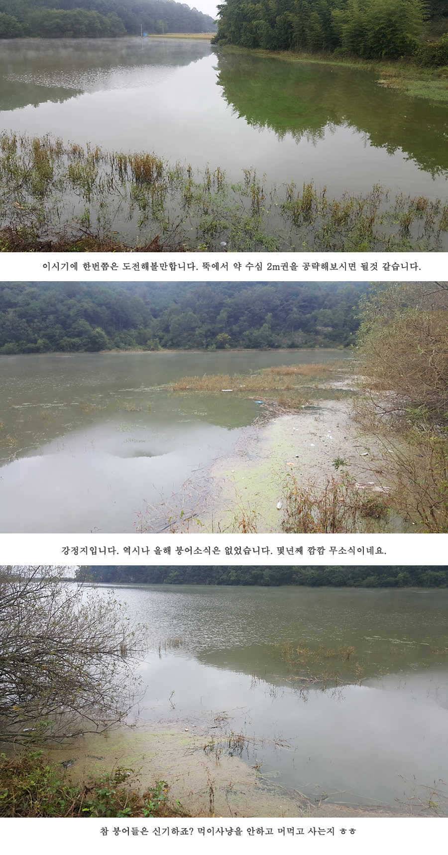청도권 가을 낚시하기에 좋은 계절입니다 (조황조행기 - 특파원조황)