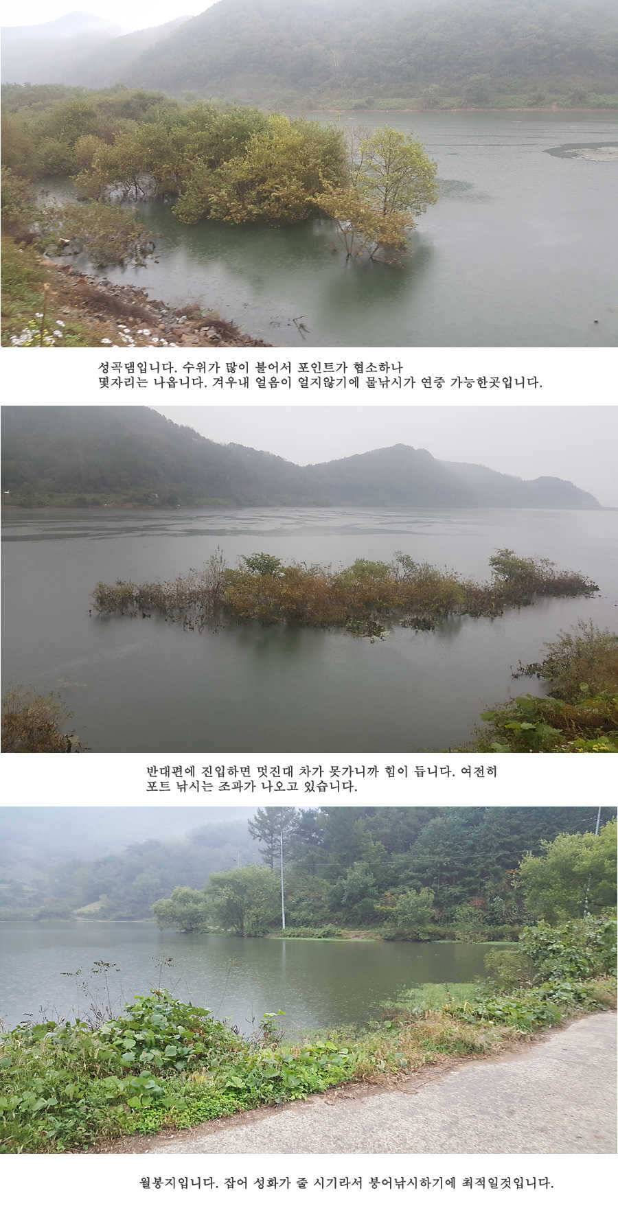 청도권 가을 낚시하기에 좋은 계절입니다 (조황조행기 - 특파원조황)