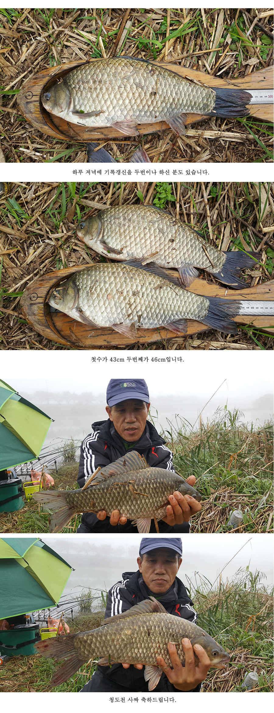 청도권 가을 낚시하기에 좋은 계절입니다 (조황조행기 - 특파원조황)