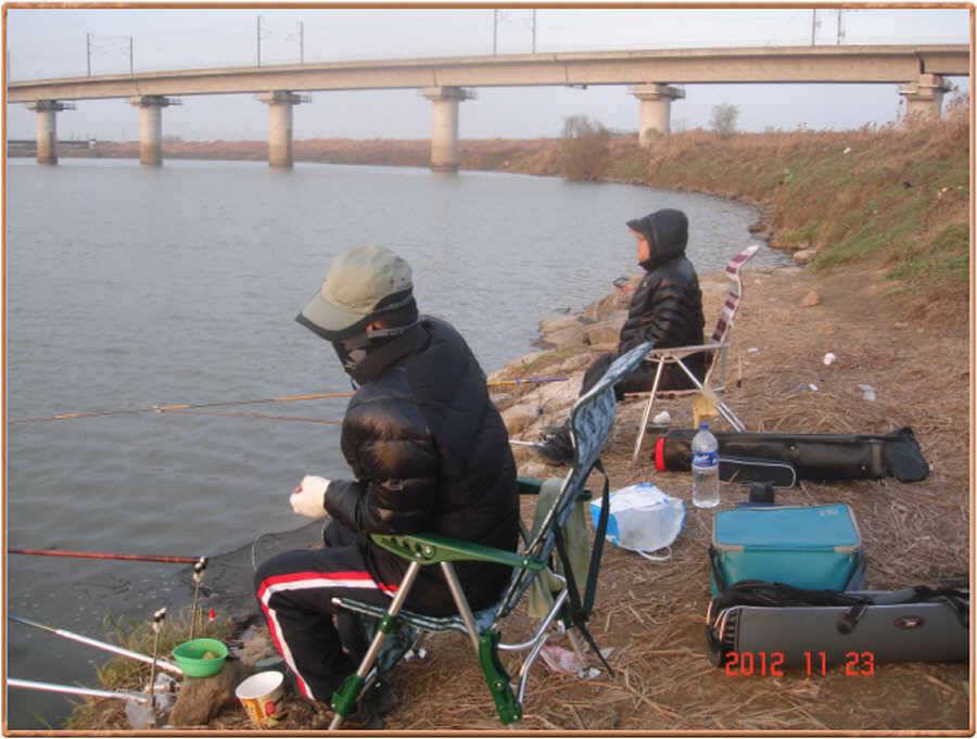 진위천 조황소식 (조황조행기 - 특파원조황)