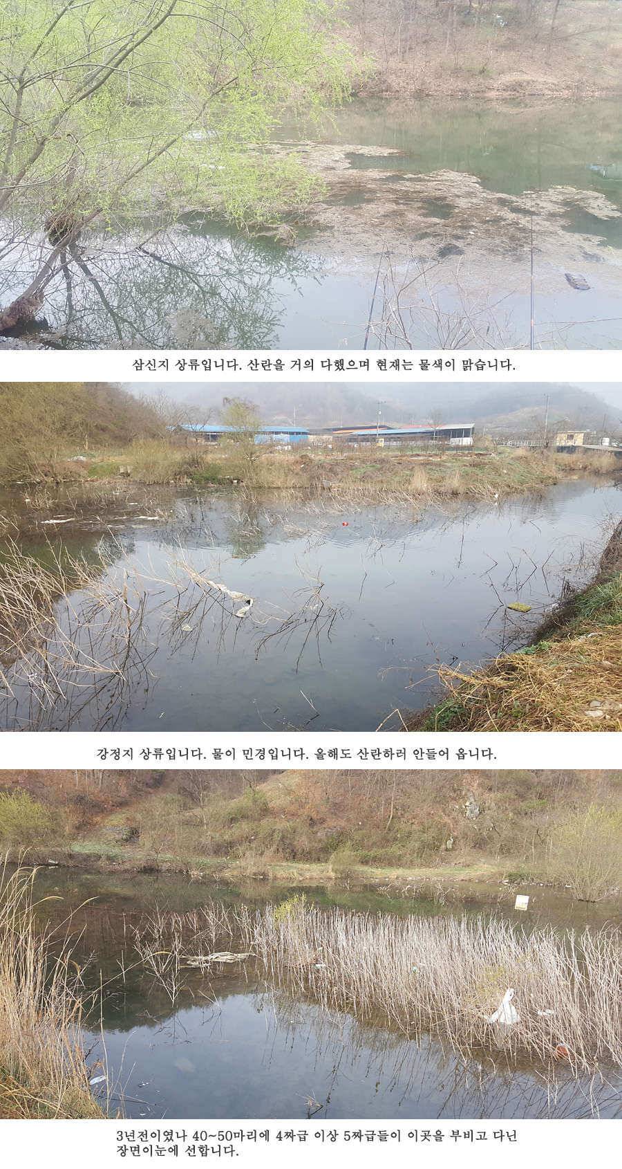 청도권 빵빵 터집니다 (조황조행기 - 특파원조황)