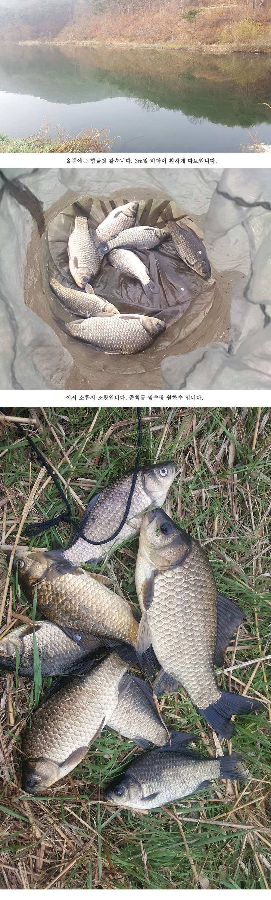 청도권 빵빵 터집니다 (조황조행기 - 특파원조황)