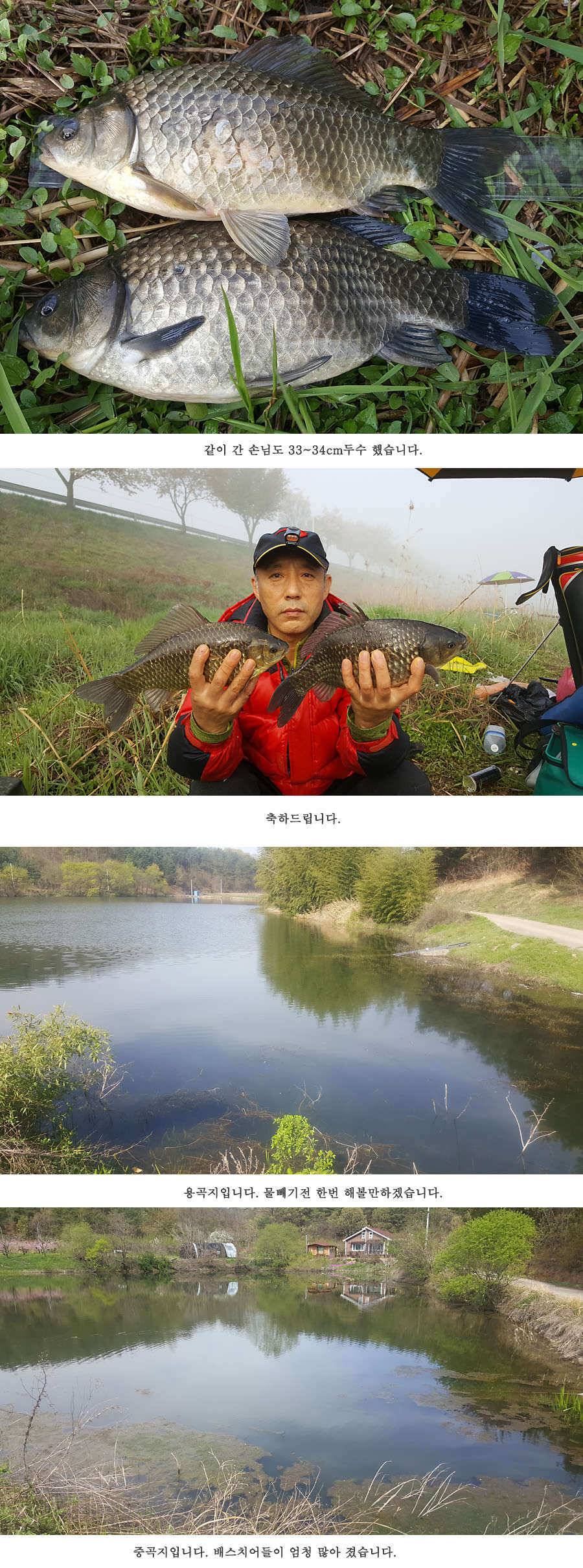 청도권 빵빵 터집니다 (조황조행기 - 특파원조황)