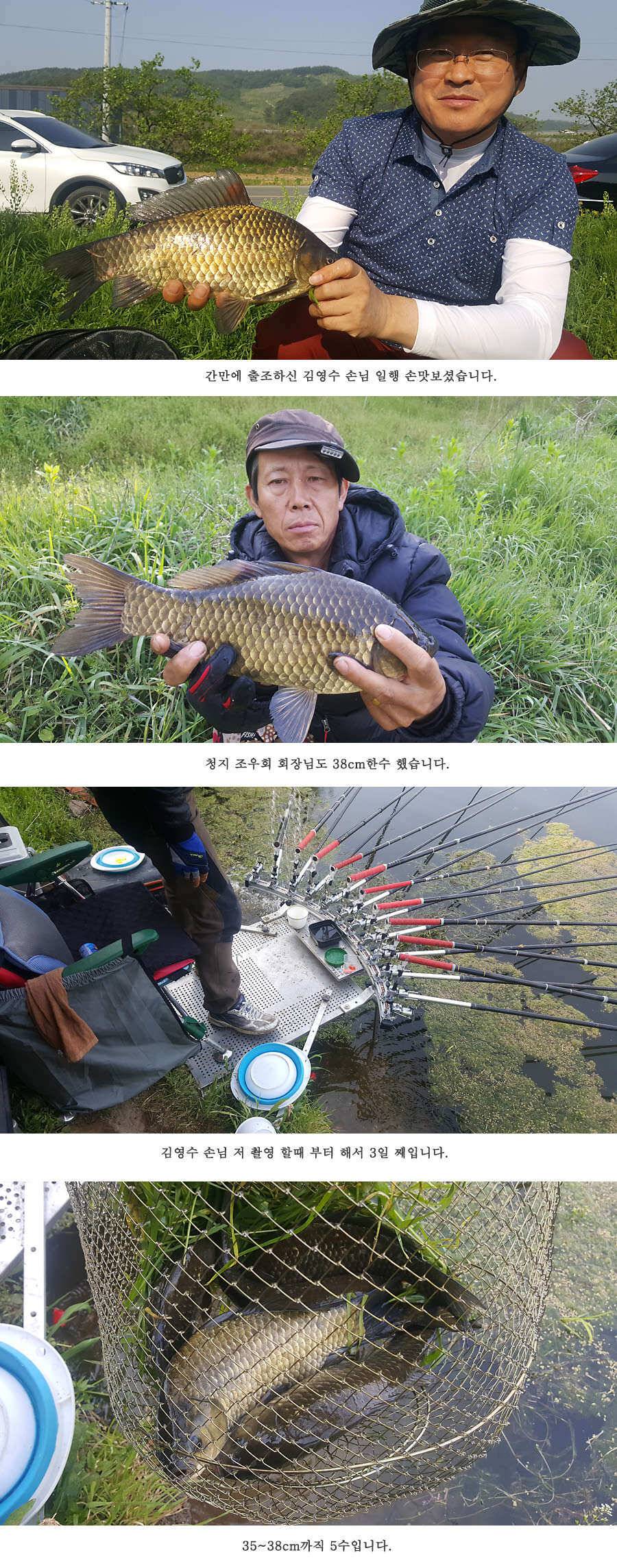 청도권 빵빵 터집니다 (조황조행기 - 특파원조황)
