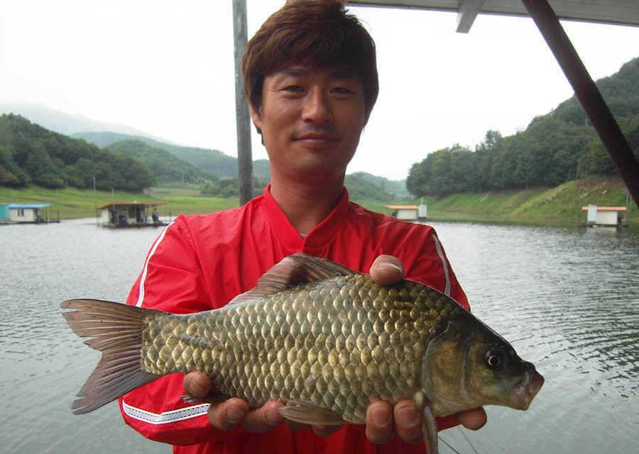 하천리 39cm 대물붕어 등 마릿수 좋습니다 (조황조행기 - 특파원조황)