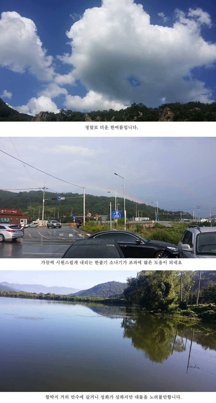 청도권 전반적으로 호조황입니다 (조황조행기 - 특파원조황)