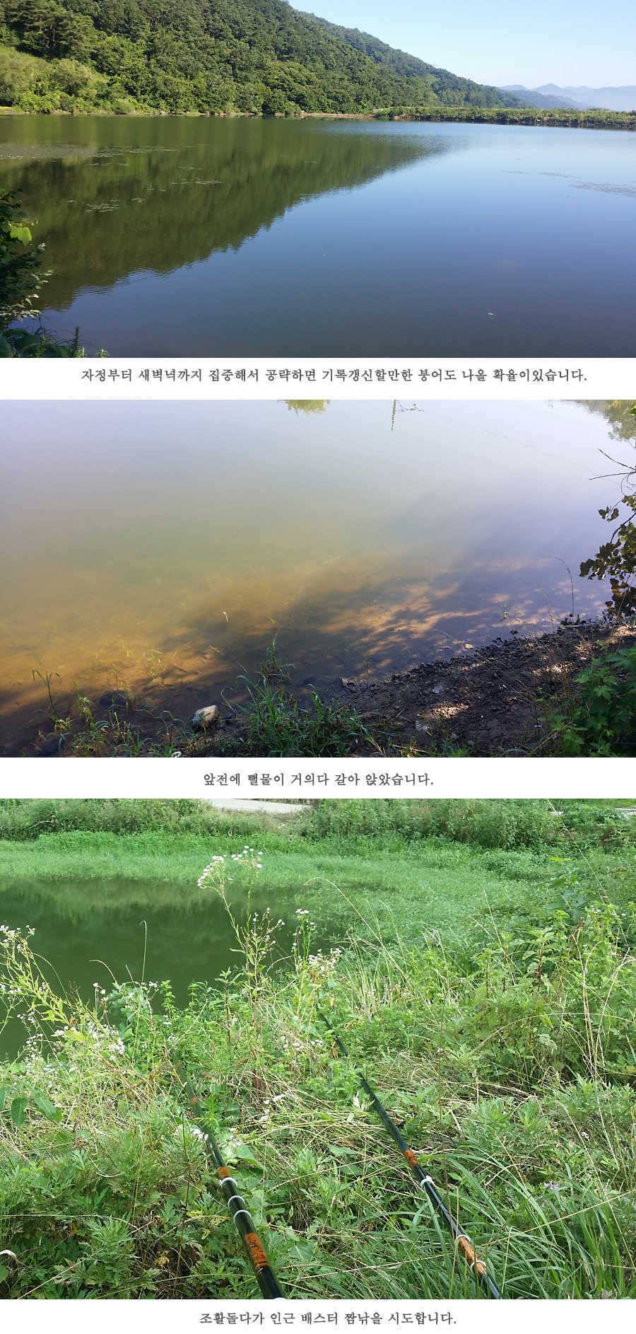 청도권 전반적으로 호조황입니다 (조황조행기 - 특파원조황)