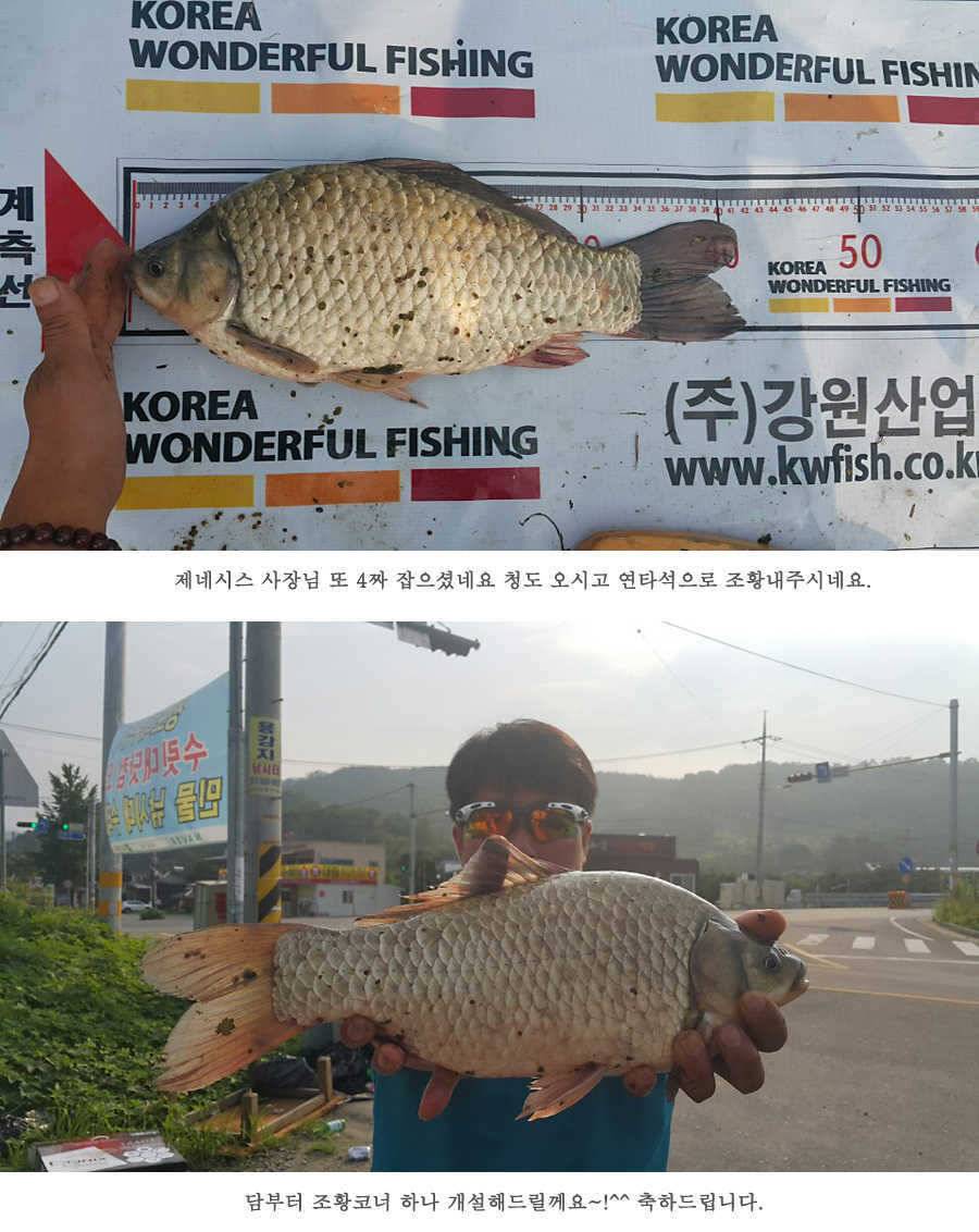 청도권 전반적으로 호조황입니다 (조황조행기 - 특파원조황)