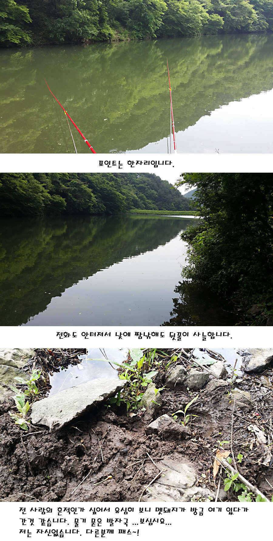 청도권 지난주 조황정보 (조황조행기 - 특파원조황)