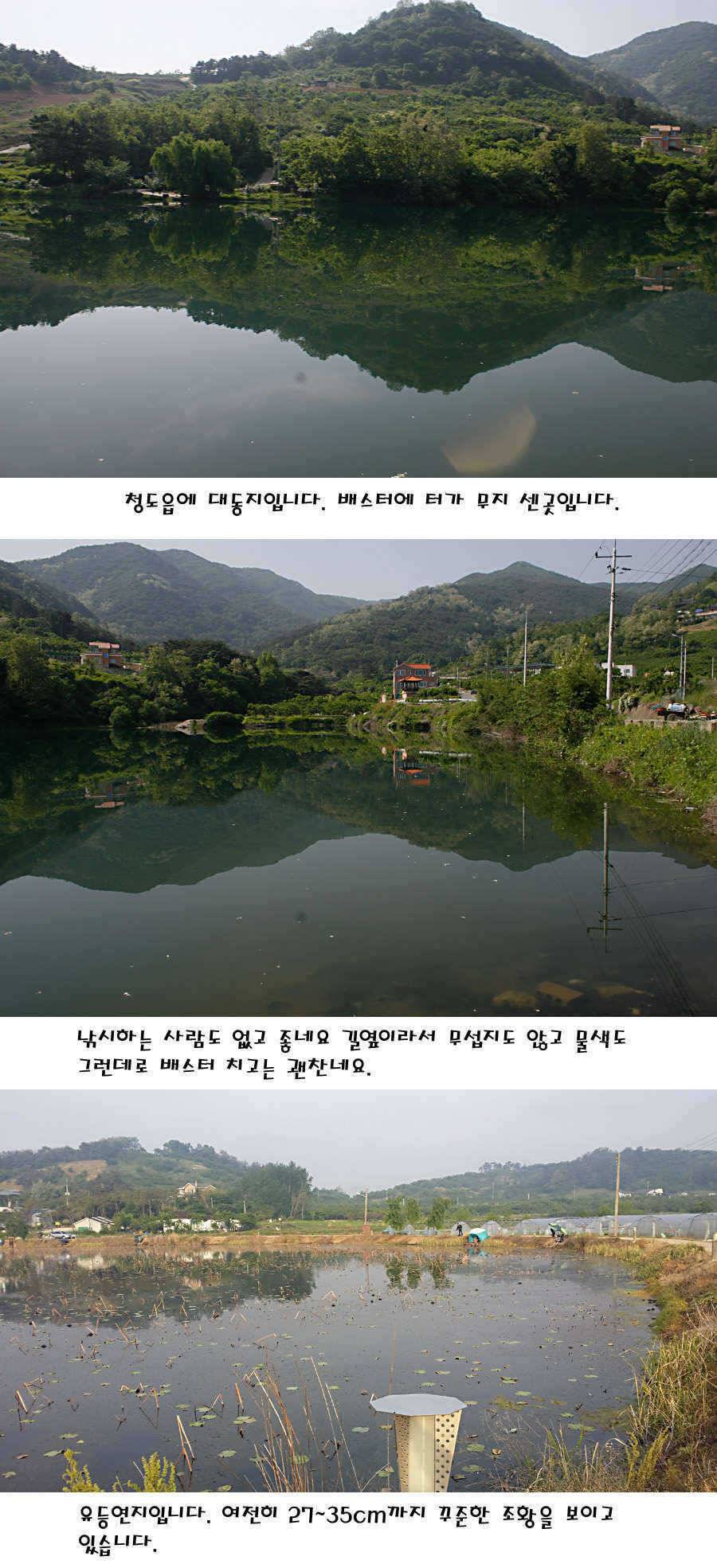 청도권 지난주 조황정보 (조황조행기 - 특파원조황)