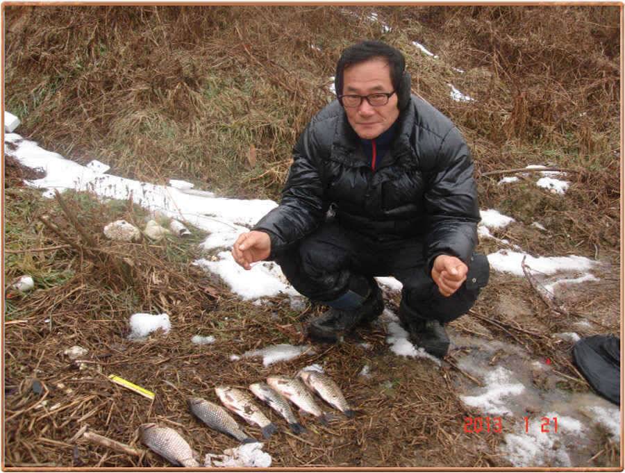 백봉권 조황소식 (조황조행기 - 특파원조황)