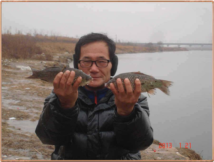 백봉권 조황소식 (조황조행기 - 특파원조황)