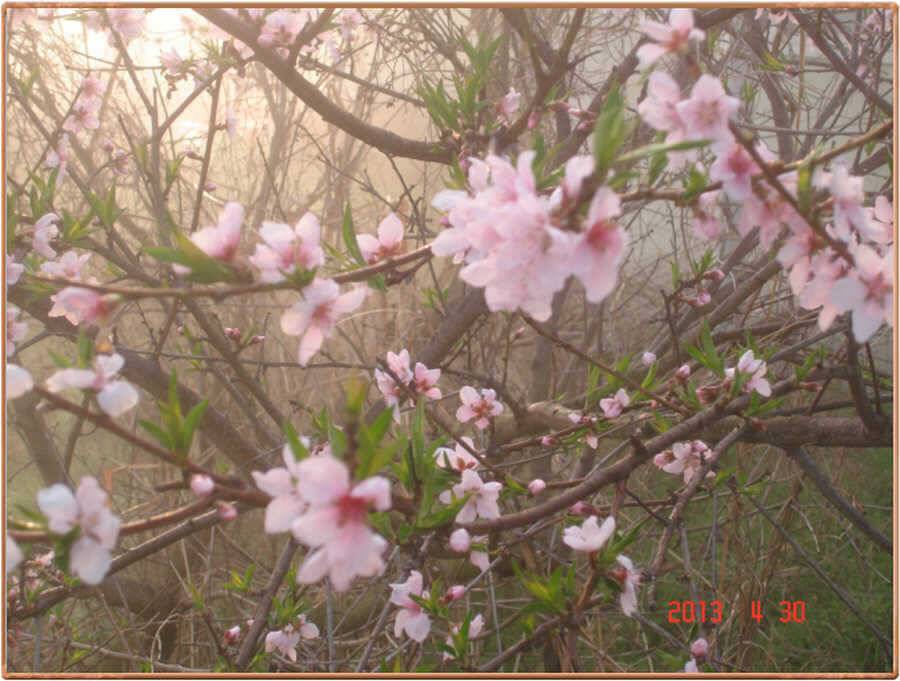 진위천 조황소식 (조황조행기 - 특파원조황)