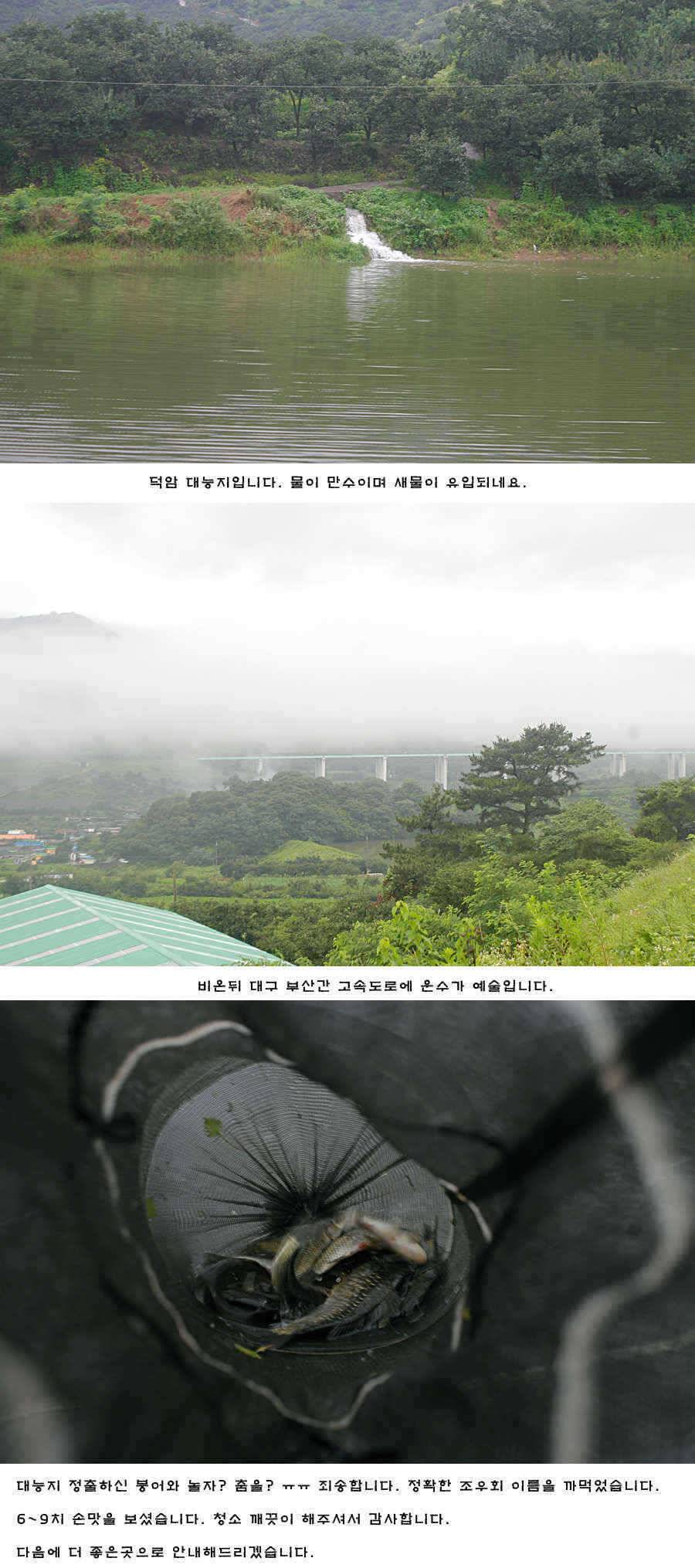청도권 오름수위 최고의 호조황 (조황조행기 - 특파원조황)