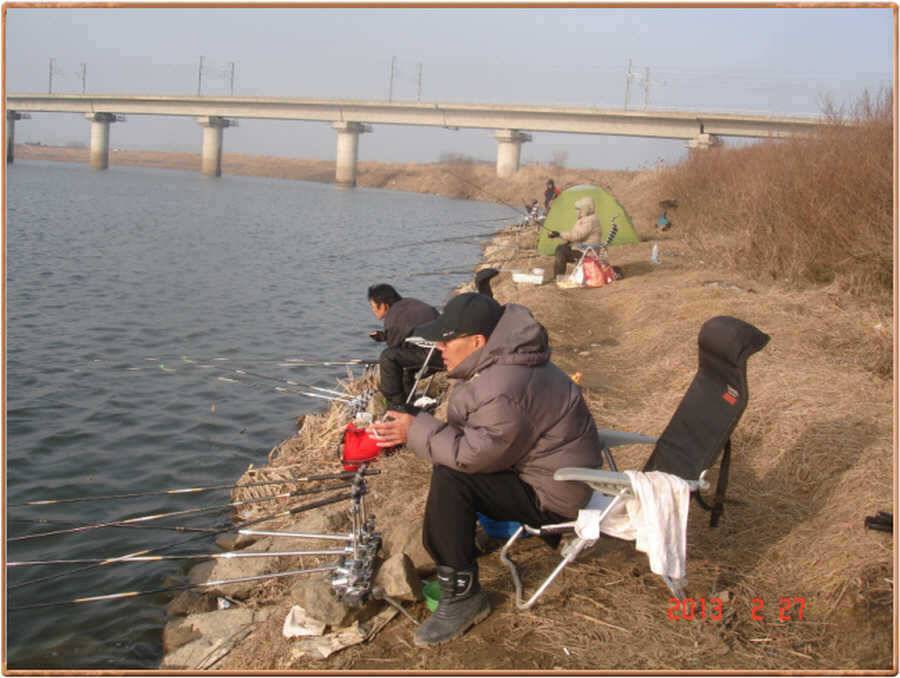 진위천 조황 소식 (조황조행기 - 특파원조황)