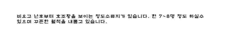 청도권 오름수위 최고의 호조황 (조황조행기 - 특파원조황)