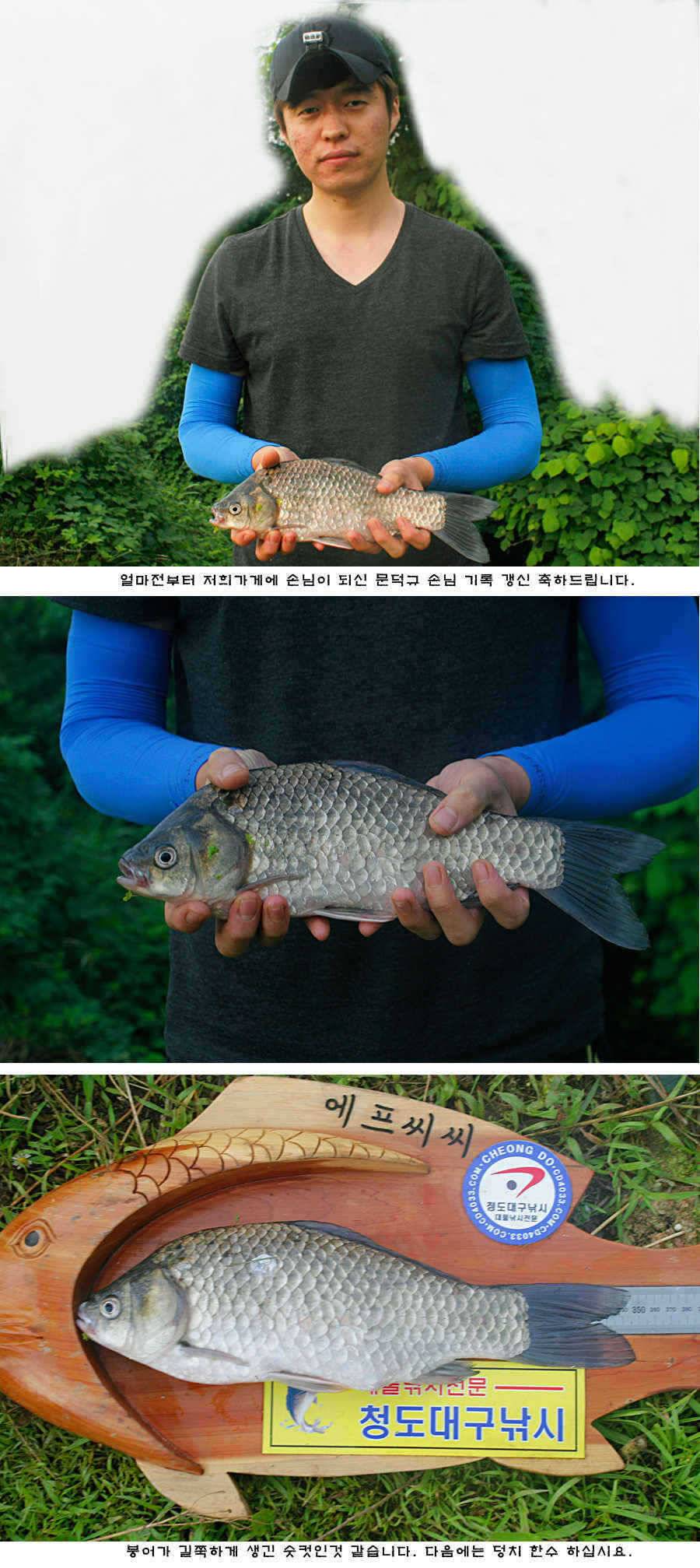 청도권 오름수위 최고의 호조황 (조황조행기 - 특파원조황)