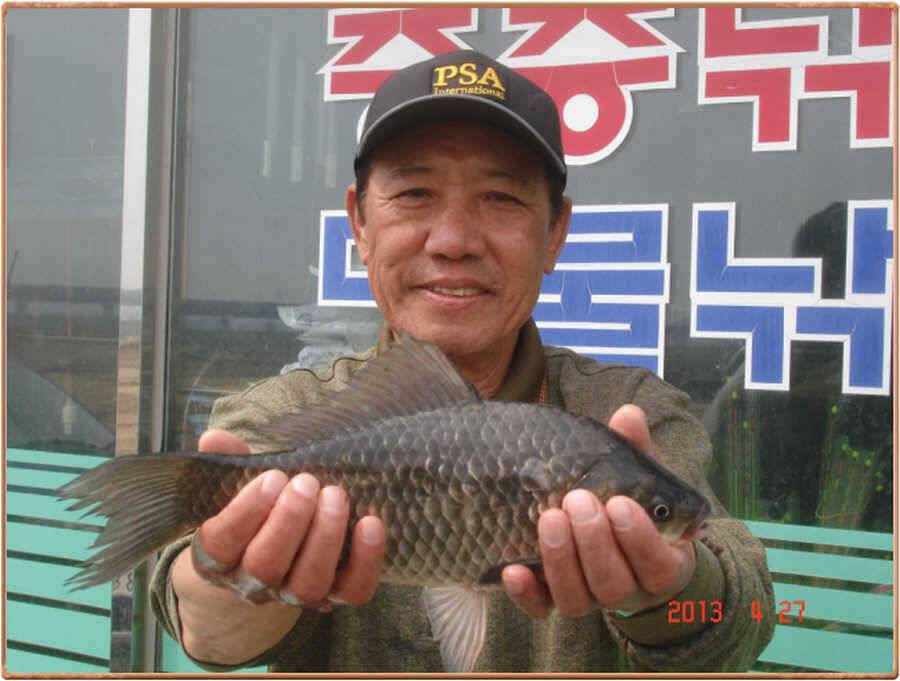 진위천 조황소식 (조황조행기 - 특파원조황)